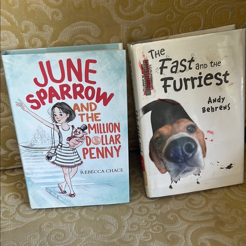 June Sparrow and the Million Dollar Penny Book